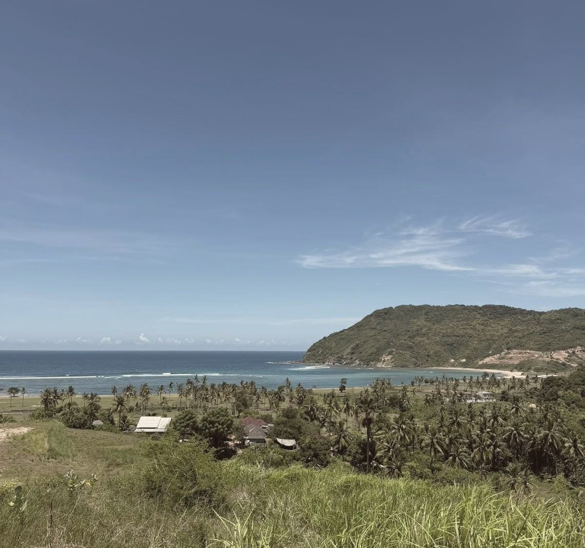 Areguling Bay: coastal landscape with palm groves and a green headland
